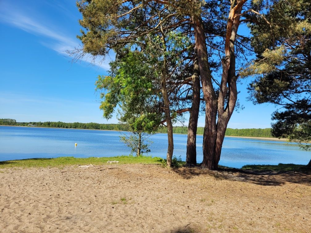 Wynajmę domek jezioro Zagłębocze 
Zamłyniec, koło