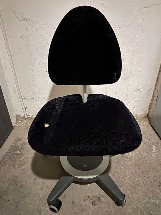 Fotel Moll - regulowany maximo forte - 2 szt.