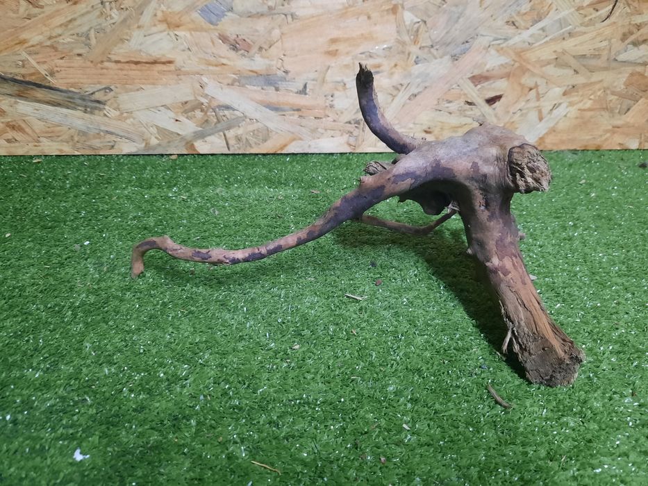 Korzeń do akwarium Red Moore Wood nr 889 o wymiarach 30/15/16