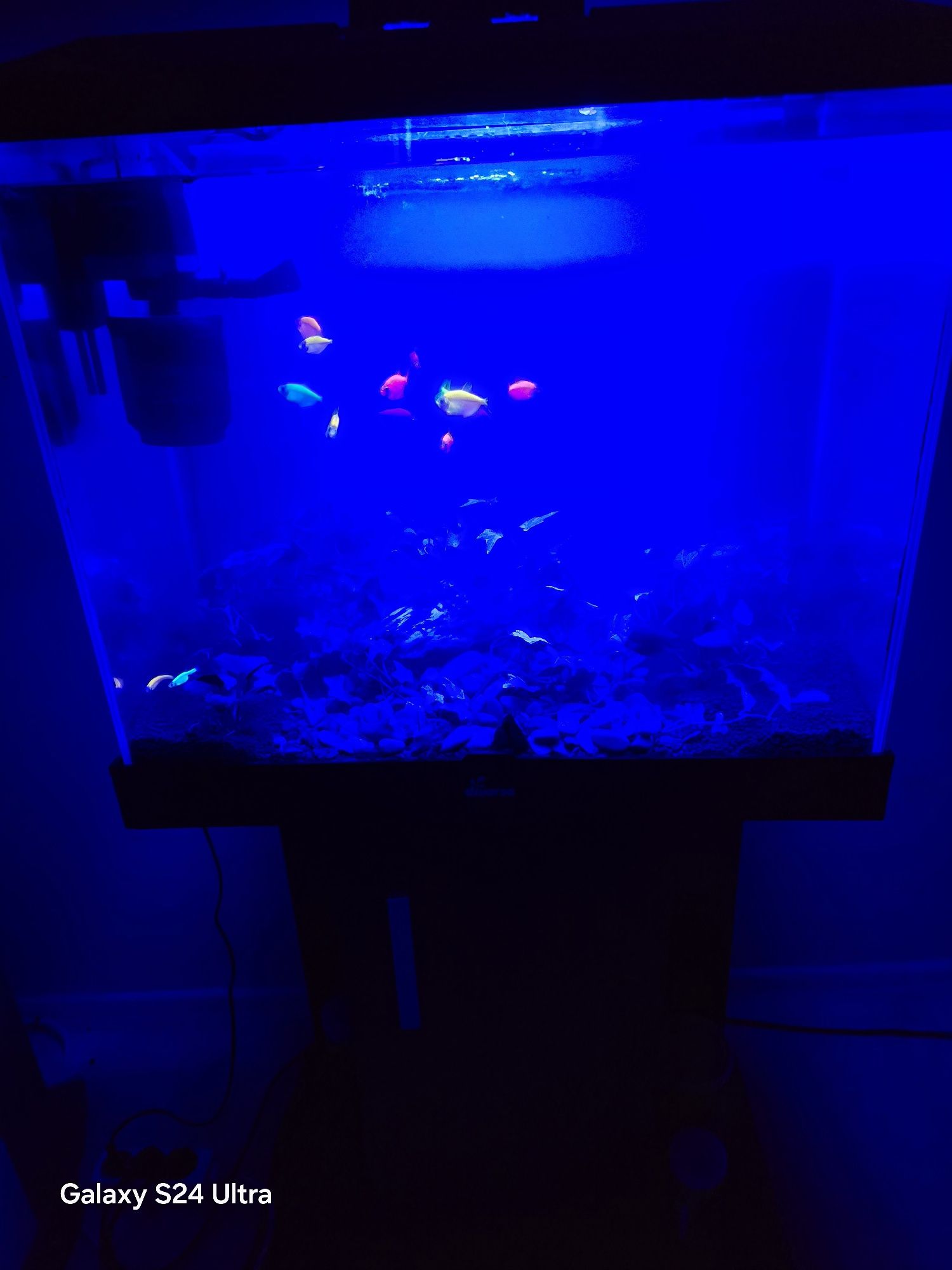 Akwarium z szafką i pokrywą noc dzień 60x30x50cm
