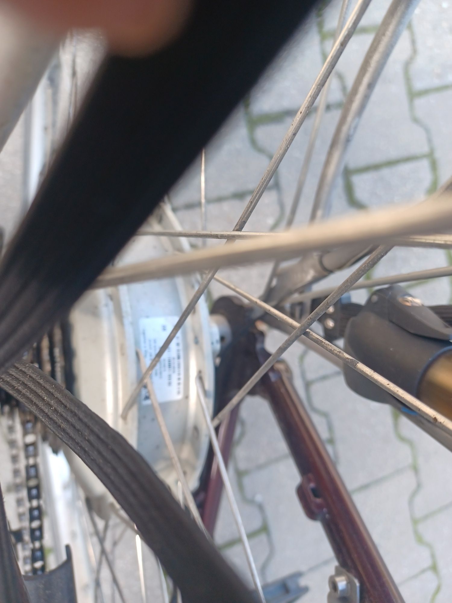 Sparta koga miyata tesla-s