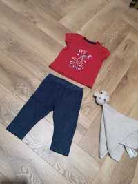 Primark St. Bernard Dunnes Stores zestaw t-shirt legginsy 74 cm 6-12m