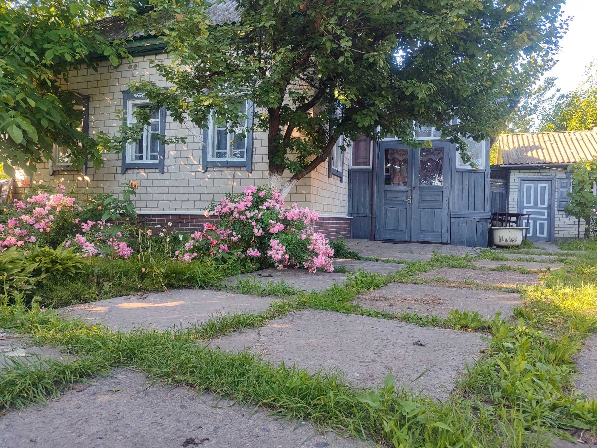 Продам житловий будинок в селі  Талалаївка 11км від Ніжина .