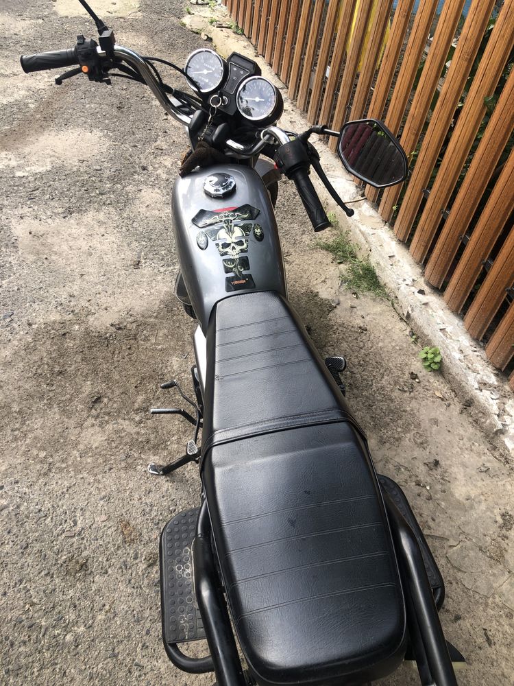 Musstang alpha 125