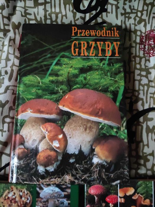 Książki Przewodnik Grzyby Ewald Gerhardt