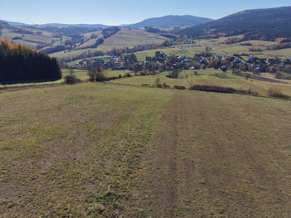 Brzezowa widokowa działka 92 ar