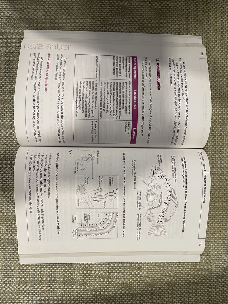 Livro de apoio de Biologia 10 ano