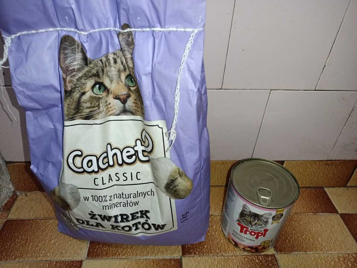 Żwirek dla kota Cachet + karma