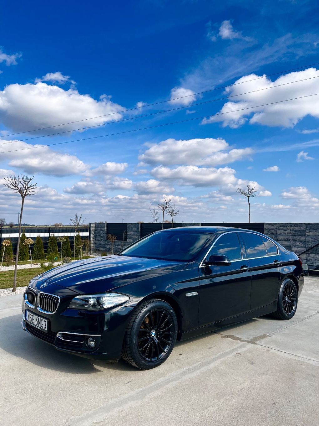 BMW Seria 5 BMW 530d Luxury Line