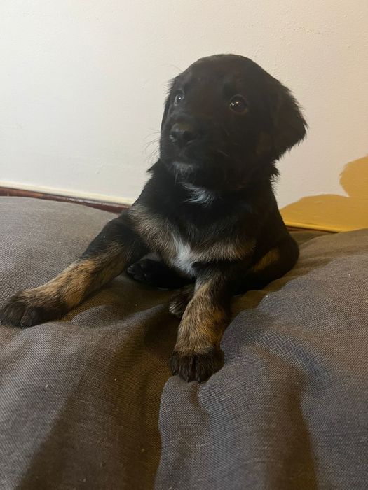 Para doação responsável