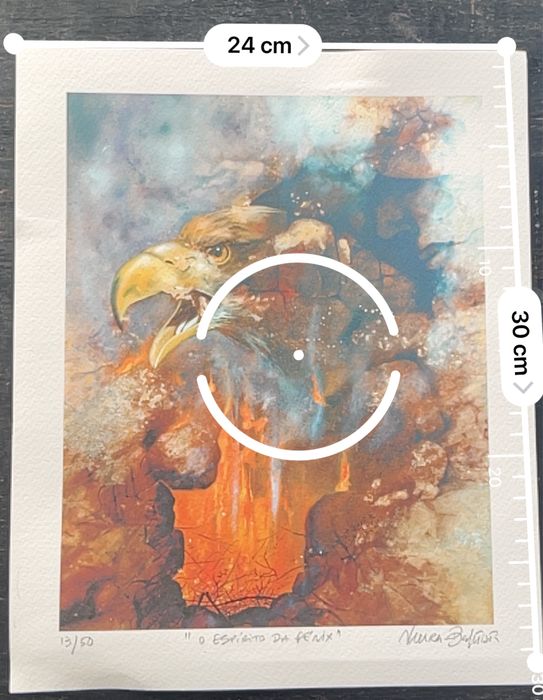 Serigrafia “O espirito da Fénix”