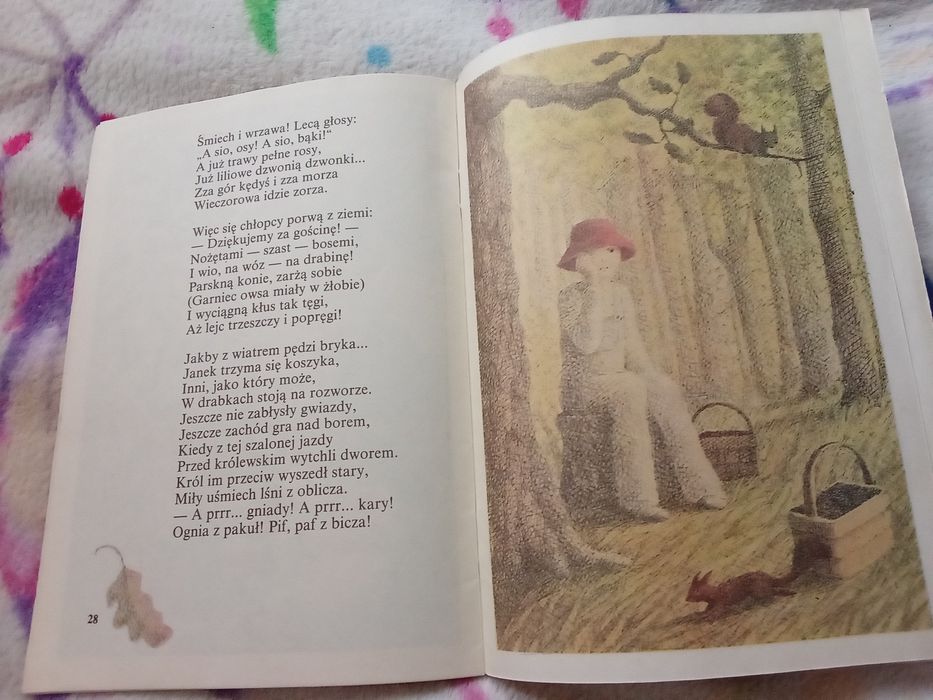 Na jagody. Maria Konopnicka