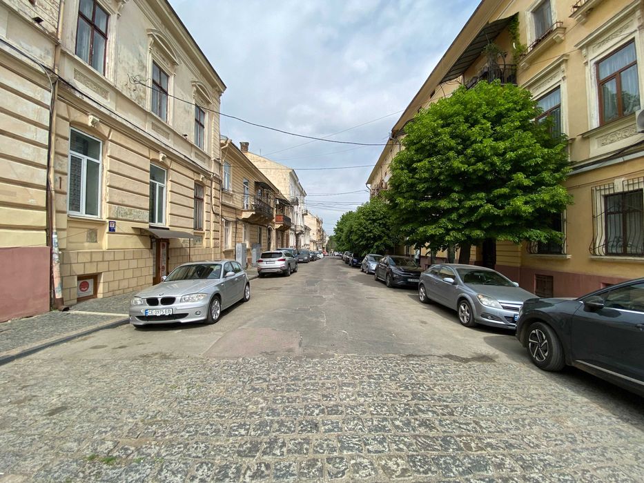 Продаж комерції 1100 м2, землі 13 соток в історичному Центрі Чернівців