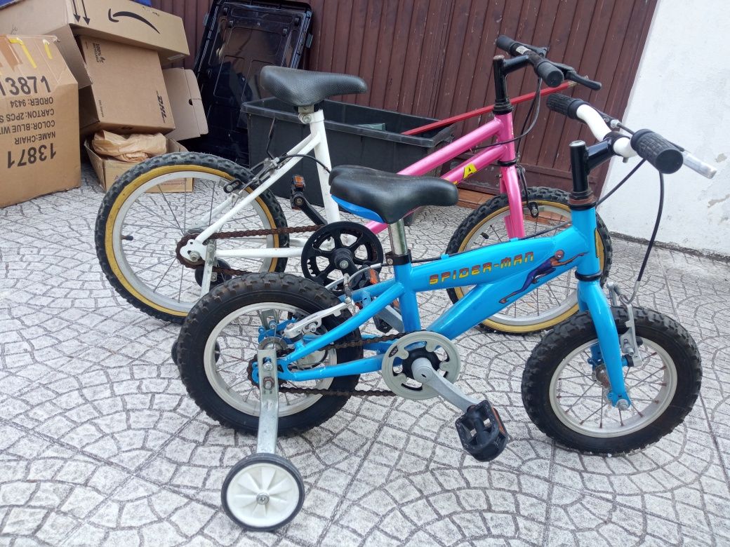 O verão está aí! Os miúdos precisam de fazer exercício. duas bicicleta