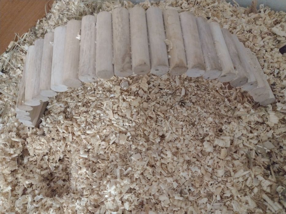 Akcesoria dla chomika