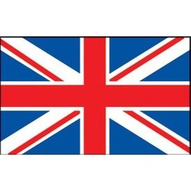 Explicações de inglês presencial ou online