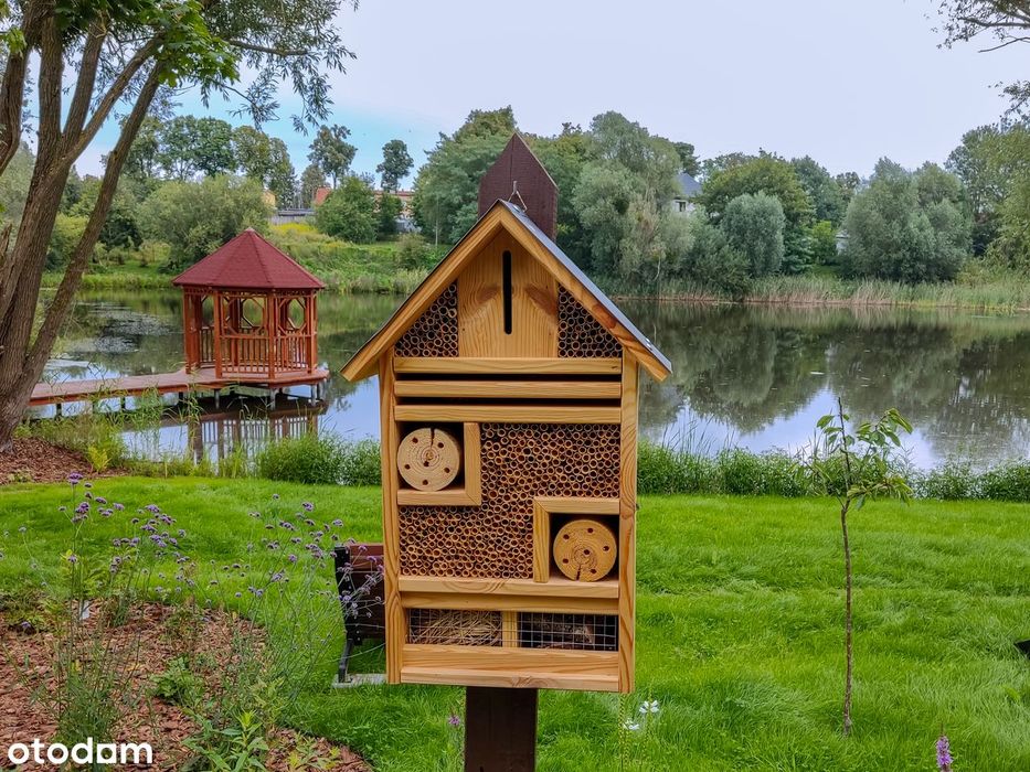 Pojezierze Iławskie - blisko las, jezioro, zamek, staw, MPZP, media