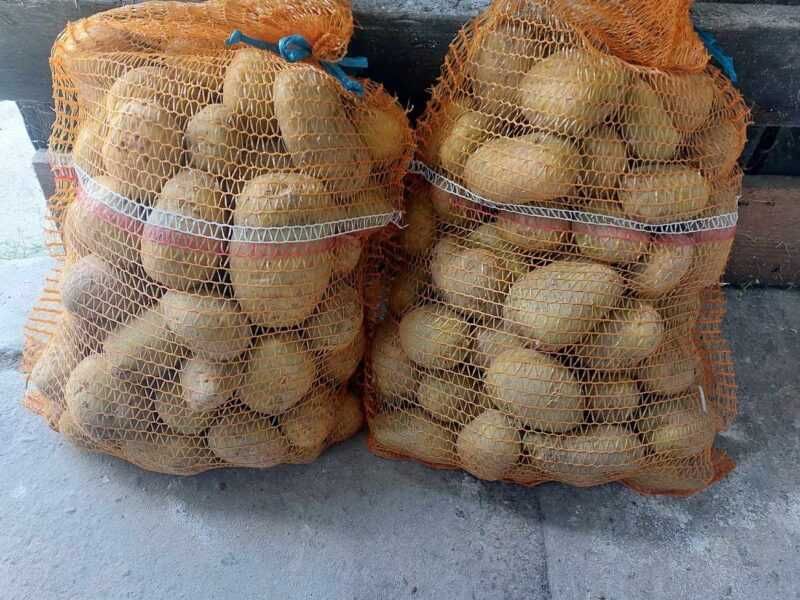 Sprzedam ziemniaki jadalne Soraja i Królowa Anna