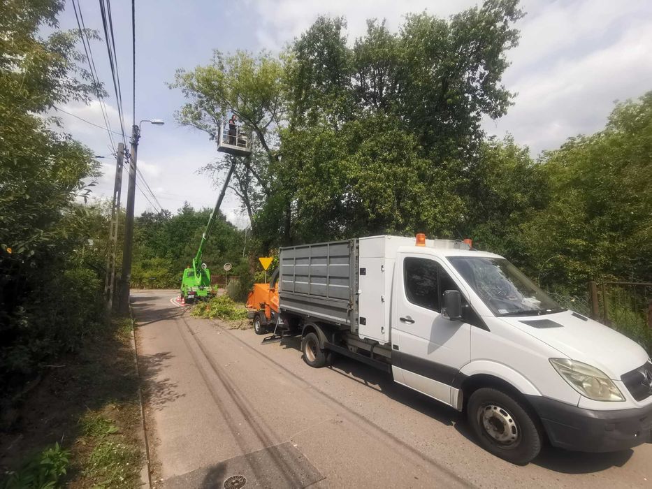 Wycinka i przycinka drzew, krzewów + rozdrabnianie gałęzi