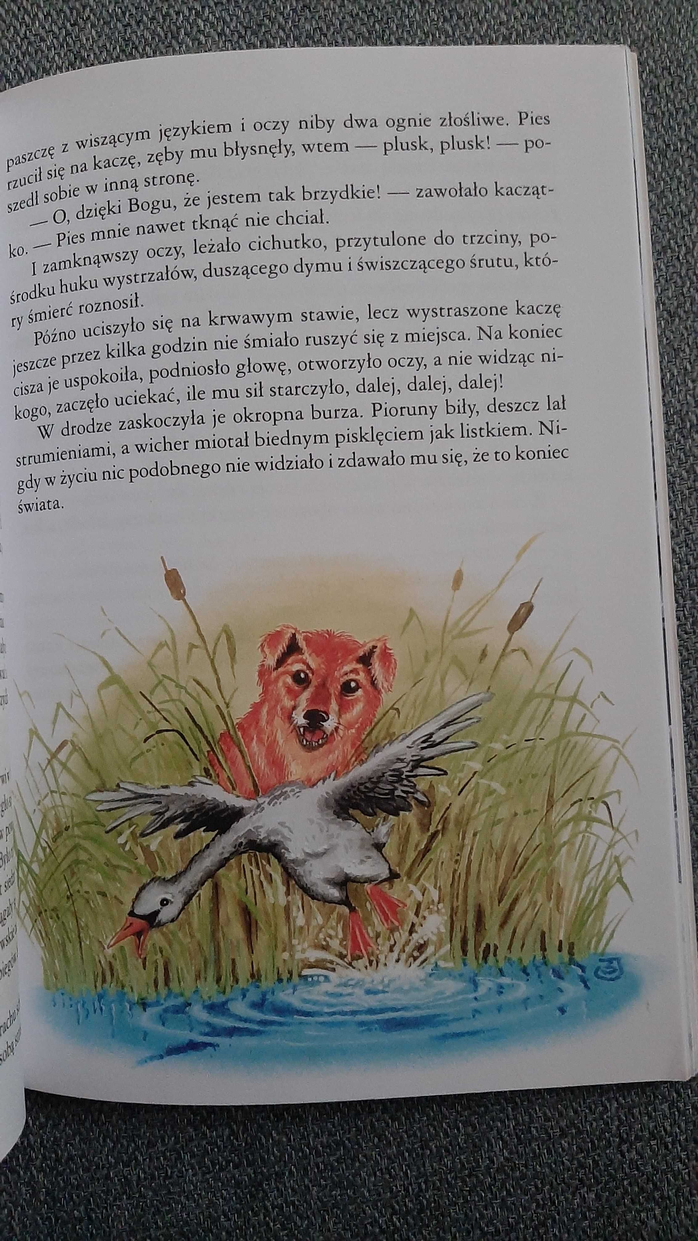 H. Ch Andersen Baśnie Brzydkie kaczątko Dziewczynka z zapałkami Słowik