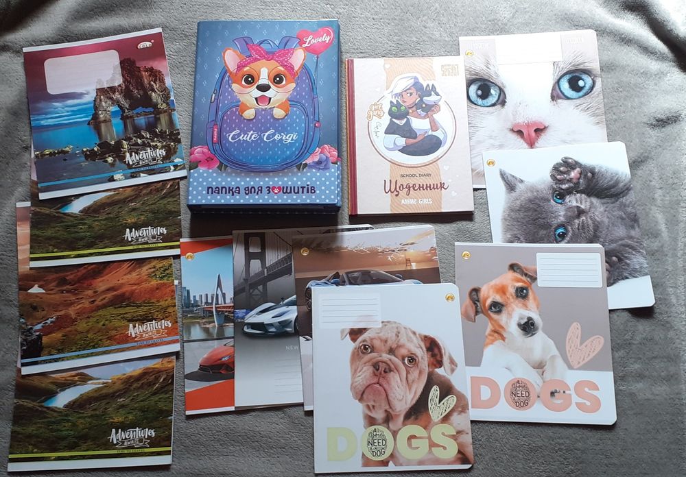 Набір у школу, тверда папка, 11 зошитів у косу, щоденник + подарунок