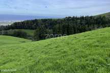 Terreno misto com área total de 712.500m2, na Ribeira Grande