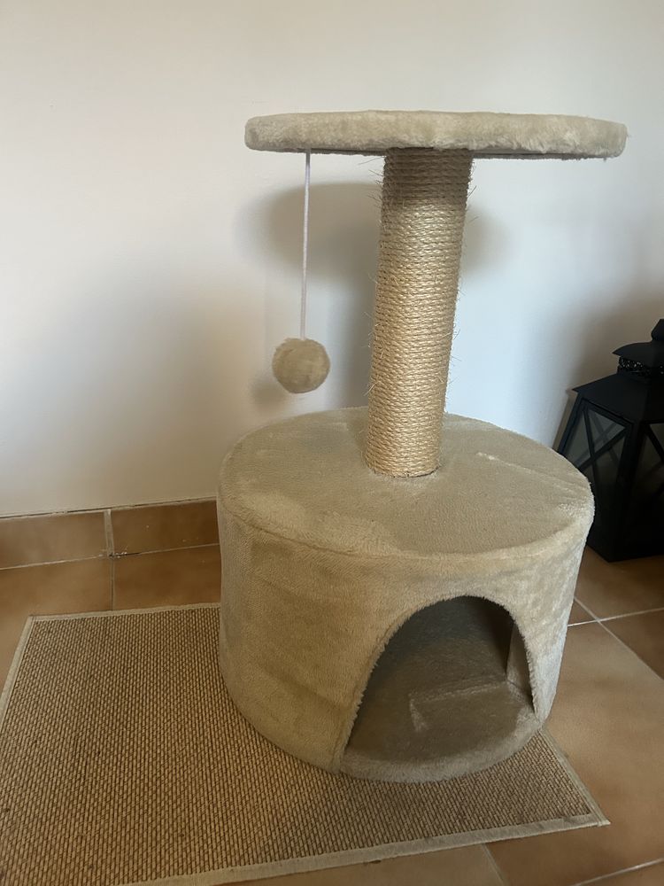 Brinquedo casota para gato