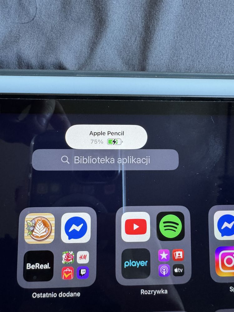 Rysik oryginalny Apple Pencil Gen2 A2051