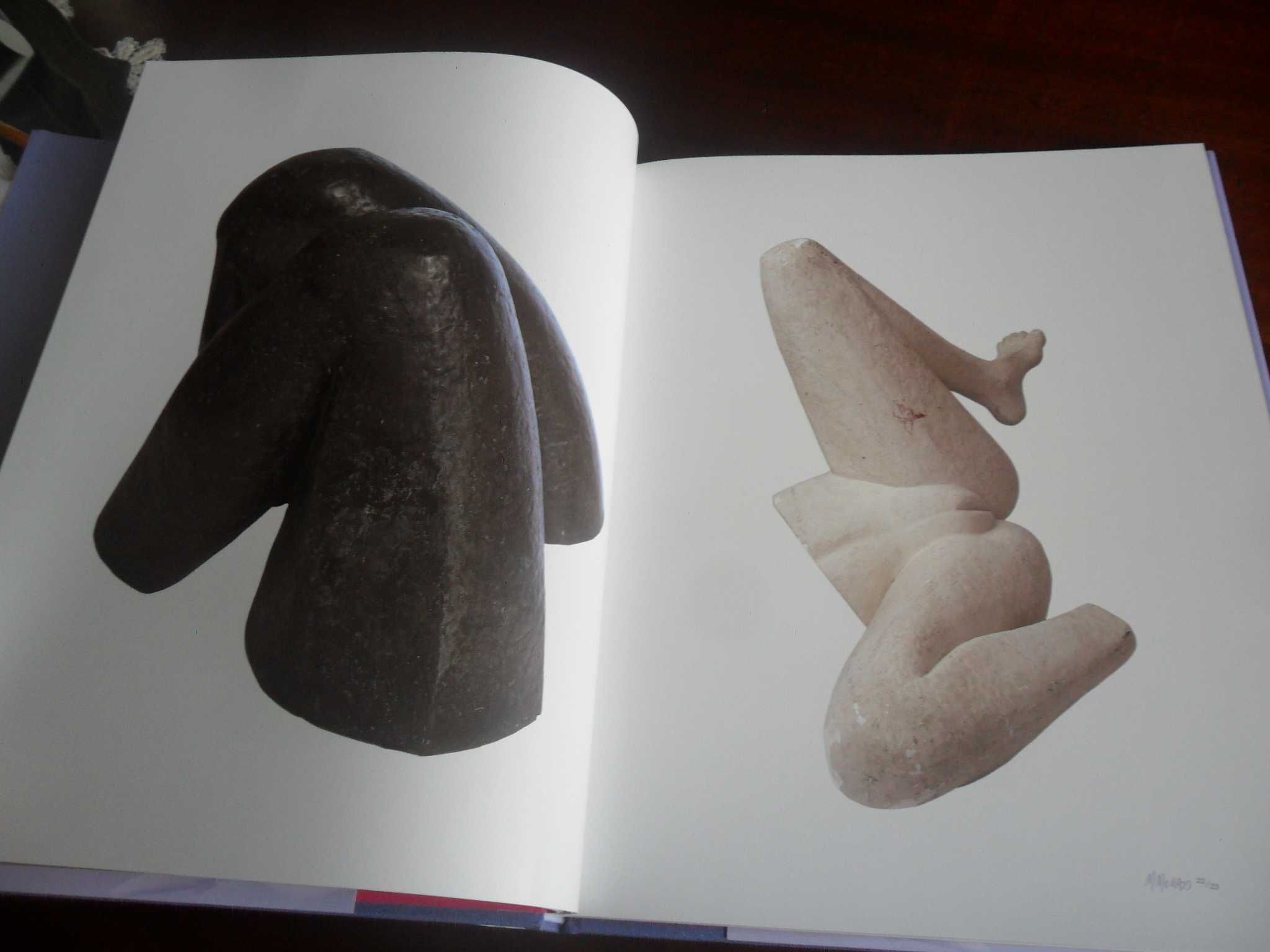 "Maria Morais - Escultura" de Vários- 1ª Edição de 2007