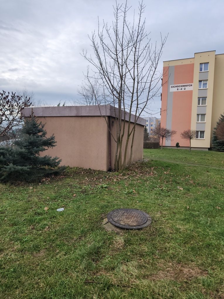 Lokal usługowy wolnostojący