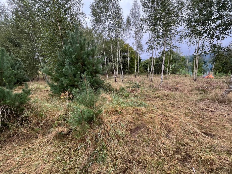 Działka 1451m2 ; cena 85 zł za metr działki nr: 41/6