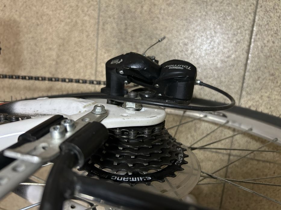 Rower młodzieżowy arkus na sprzedarz