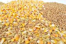 Зернова продукція , комбікорм,