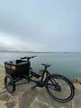Butchers & Bicycles MK1-E Business – E-Cargo Bike Profissional