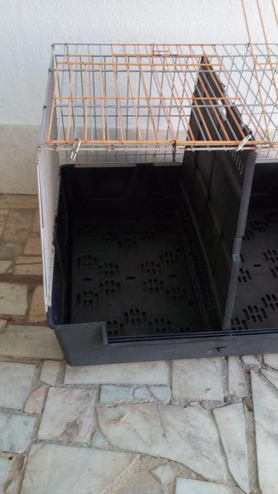 Caixa Dupla Transporte Animais