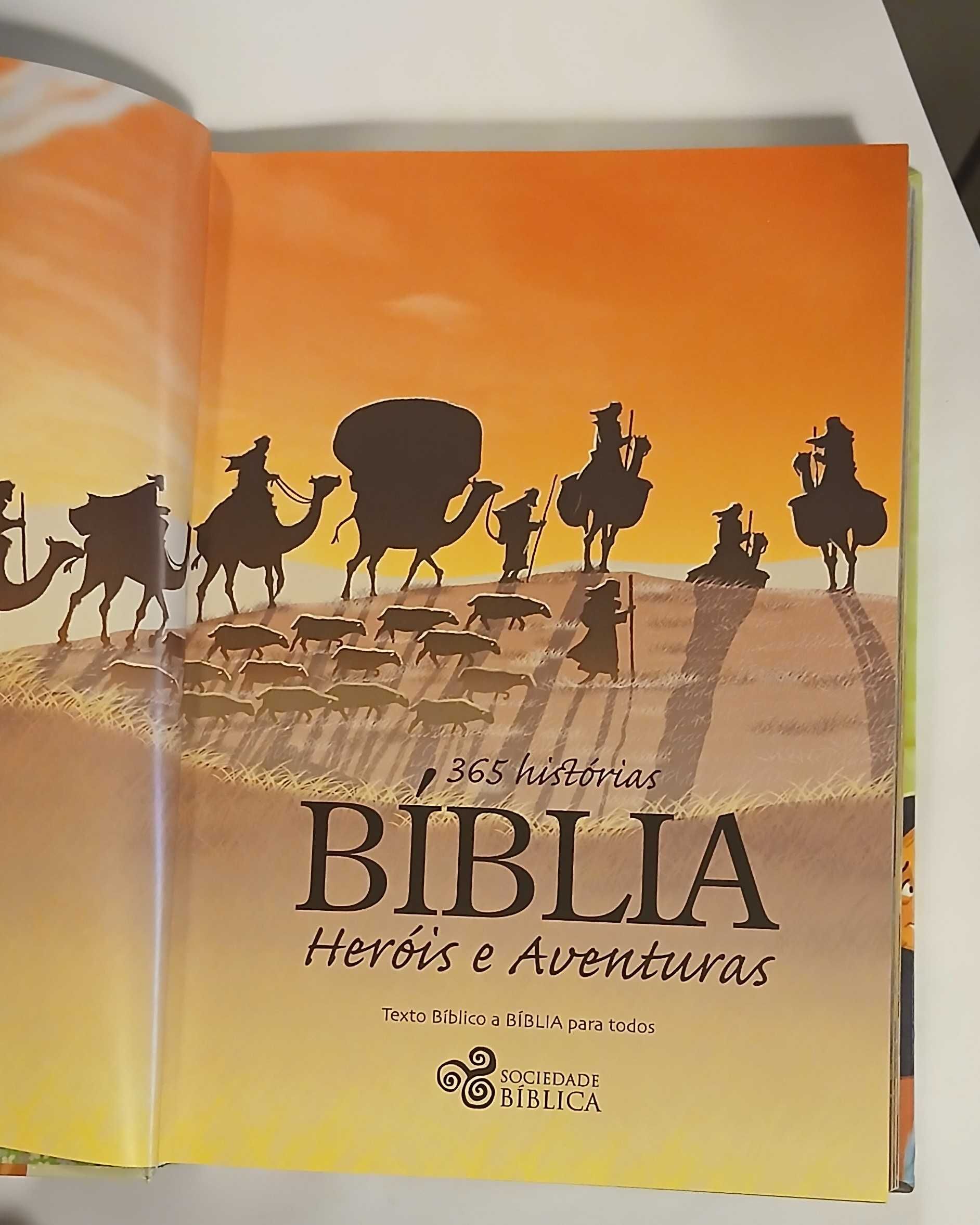 Bíblia - Heróis e Aventuras - 365 histórias (de Ben Alex)