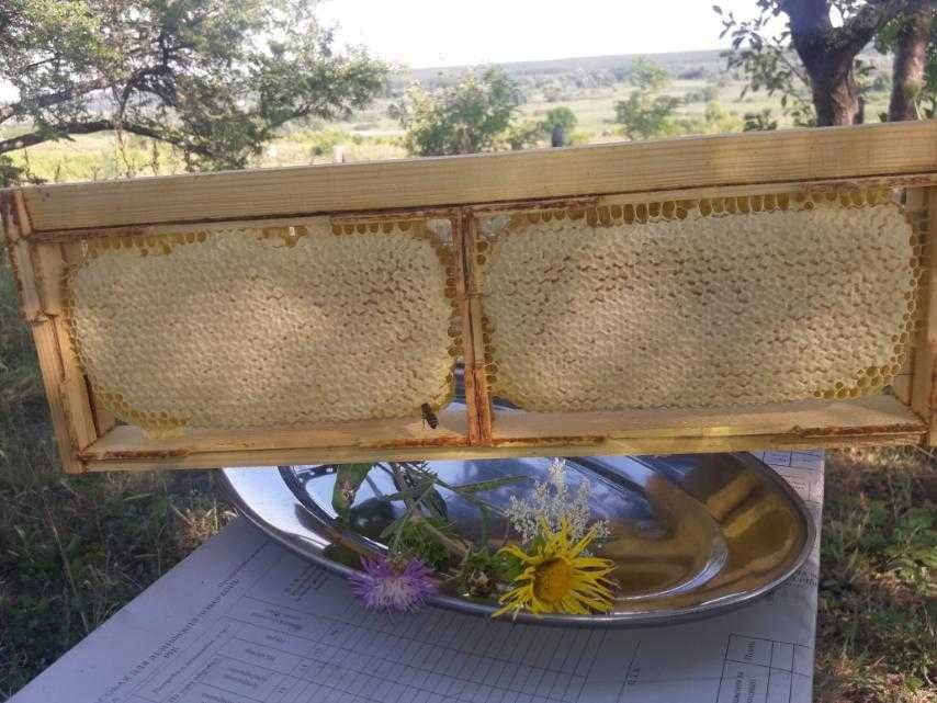 Продам Мёд со своей пасики,и продукты пчеловодства