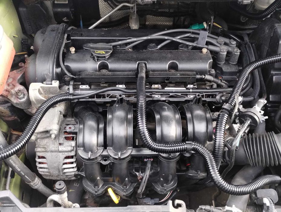 silnik Ford Fiesta MK7 1.25 SNJA