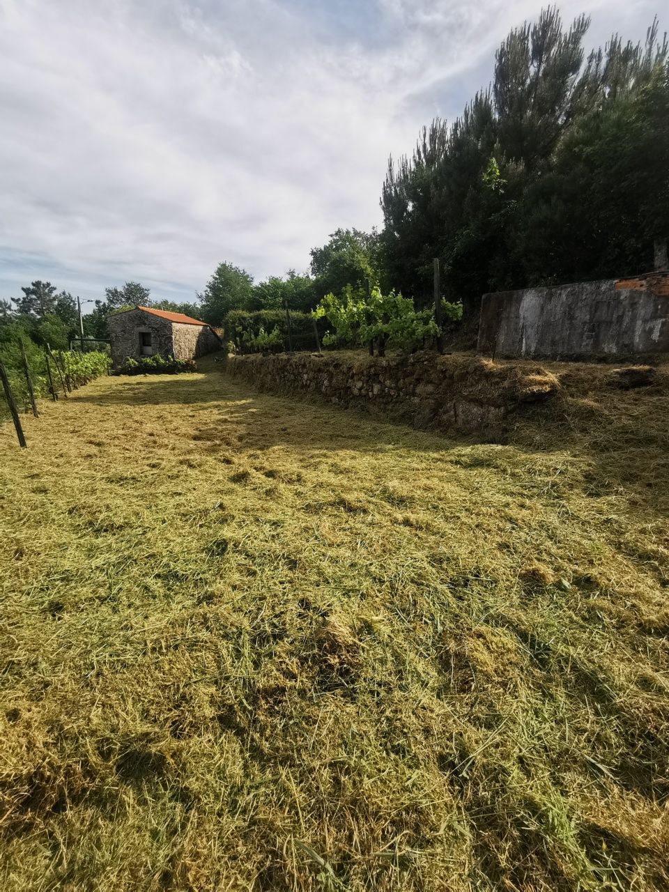 Terreno na zona do Caramulo