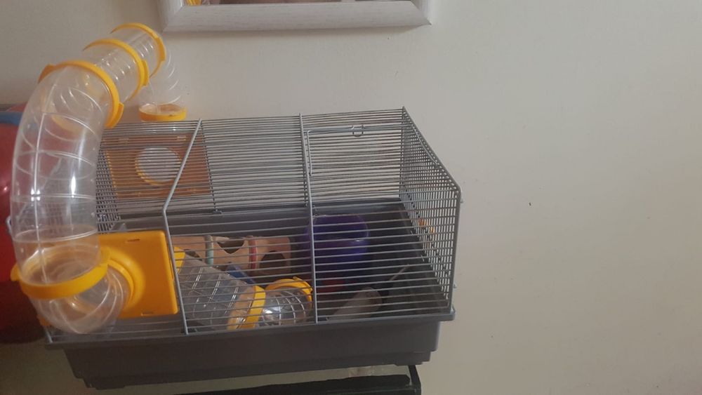 Gaiolas para hamsters