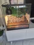 Terrário de vidro para tartaruga ou outro réptil