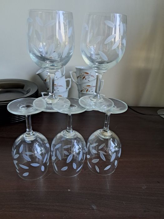 5 sztuk kieliszki do wina z listkami
