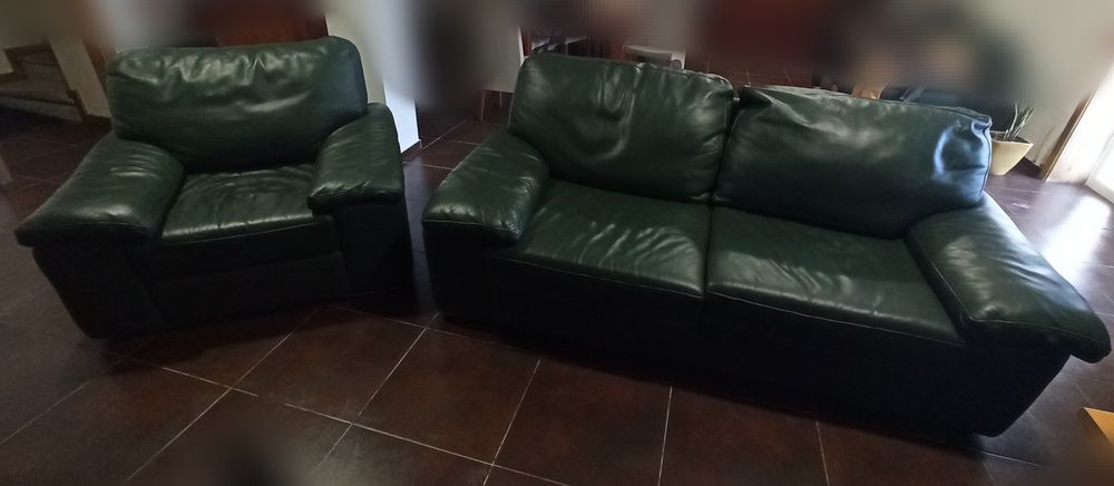 Sofá de pele verde
