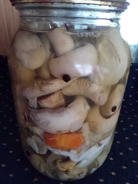 Сироїжки гриби мариновані