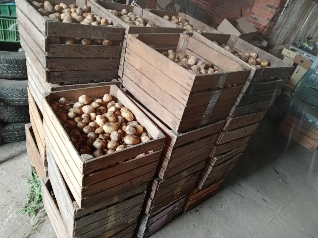 Sprzedam ziemniaki worek dużych po 25 a drobnych po 15