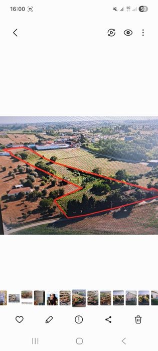 Quintinha vale carvao Torres Novas