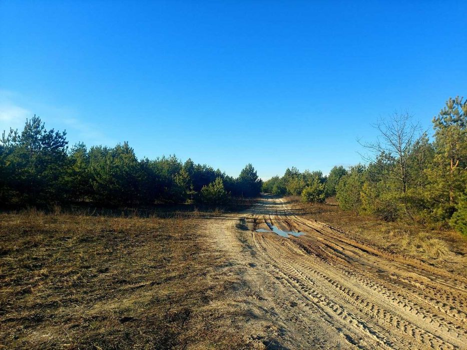 Продаж 2,44га під садівництво з правом забудови в с.Кам'янка(26105783)