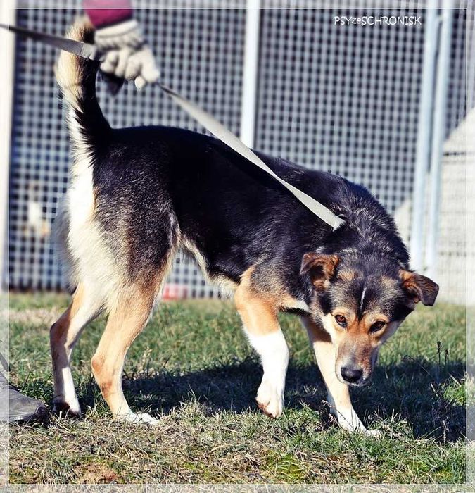 Klara – Twoja kandydatka na członka rodziny - pokochaj