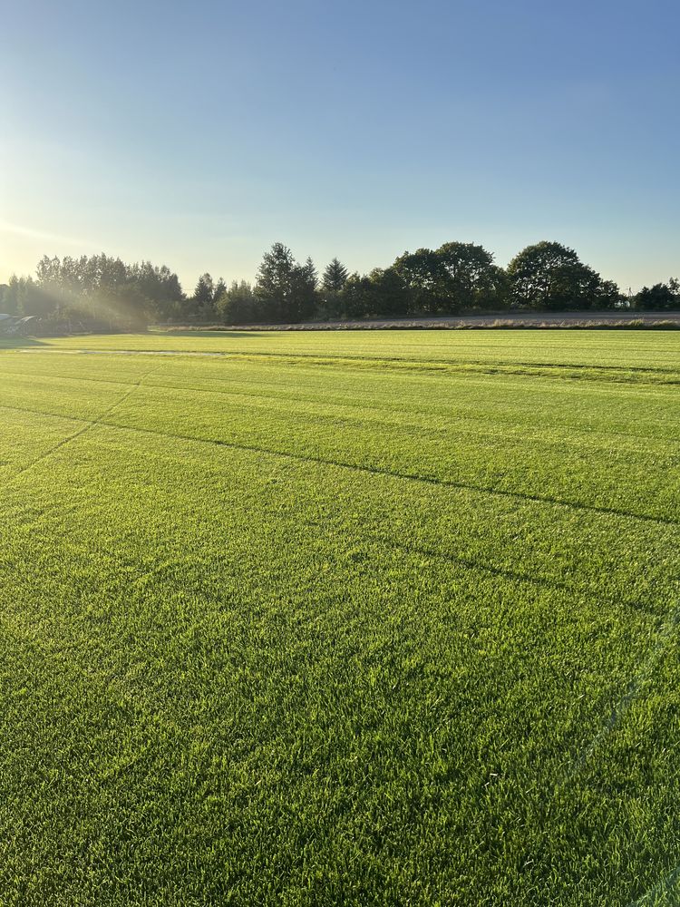 Jesienna promocja Trawa z rolki Arena Gras bezpośrednio od producenta