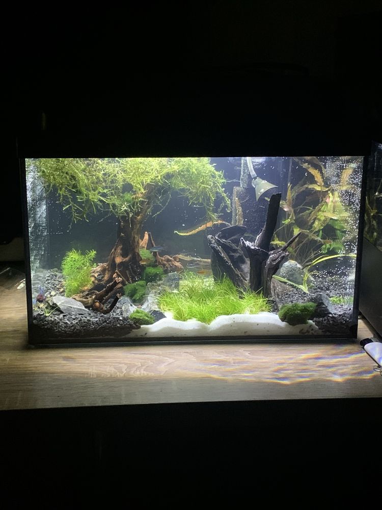 akwarium + akcesoria zestaw